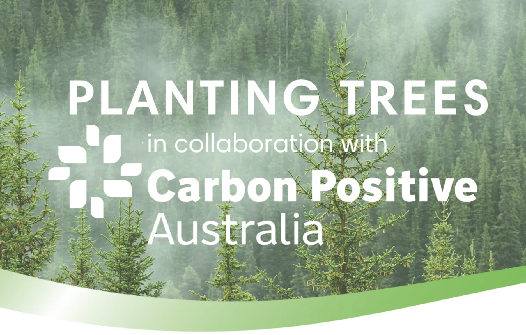 Tree Planting Carbon POsitive Australia