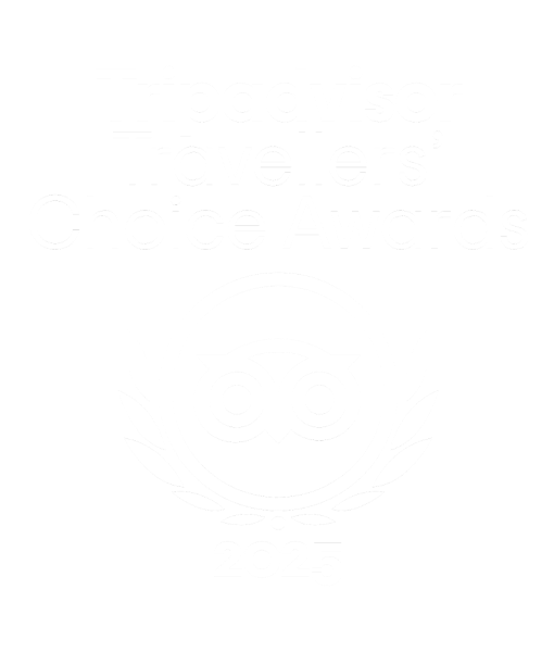 Trip Advisor Travellers Choice Award