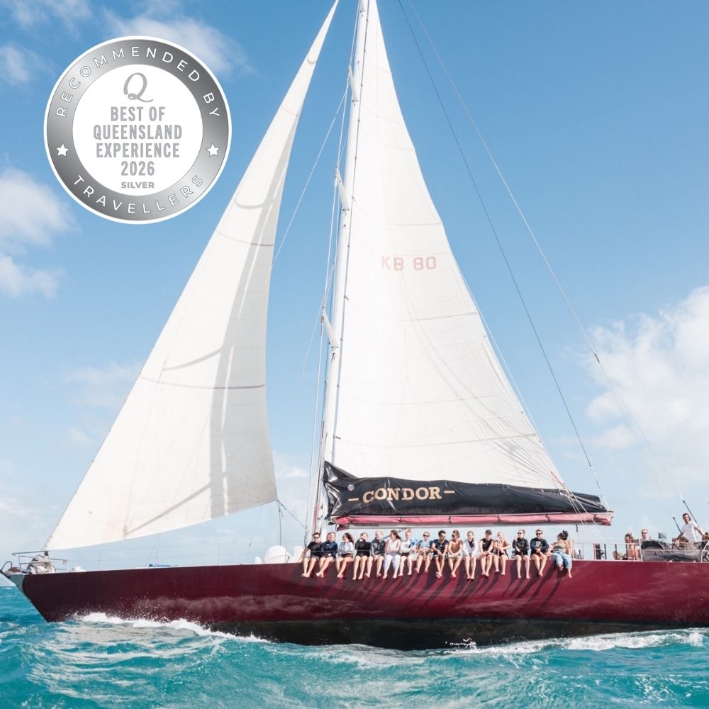 Hammer Whitsundays Racing Yacht On A Sailing Tour With 20 Guests