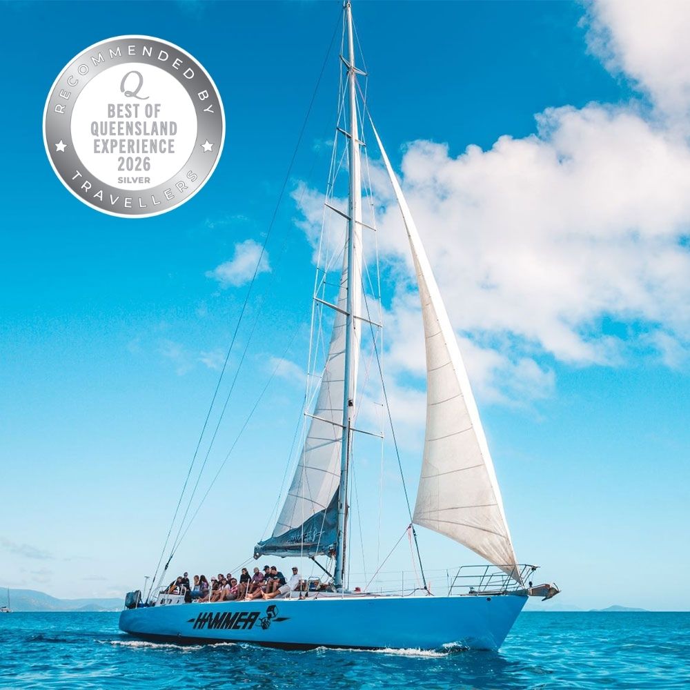 Hammer Whitsundays Yacht Hammer Whitsundays Racing Yacht On A Sailing Tour With 20 Guests